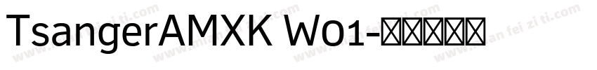 TsangerAMXK W01字体转换
